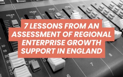7 Lessons for Enterprise and FDI Support from a Programme Review