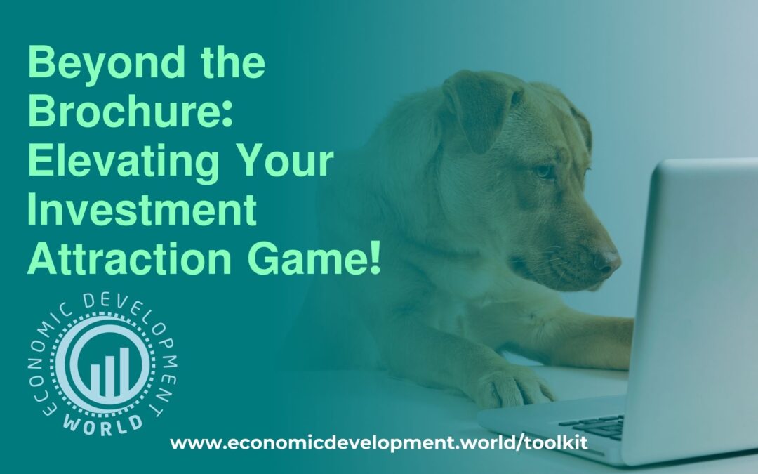 Beyond the Brochure: Elevating your Investment Attraction Game