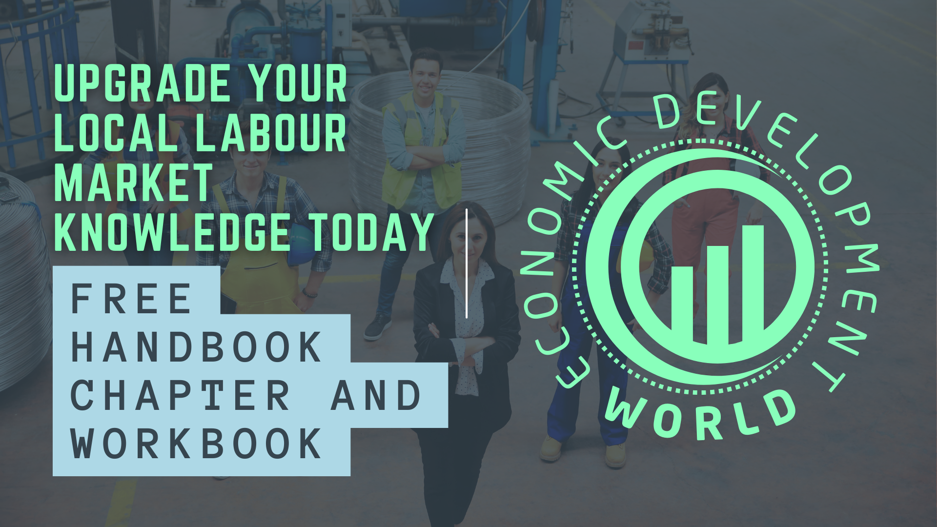 Free labour market chapter and workbook